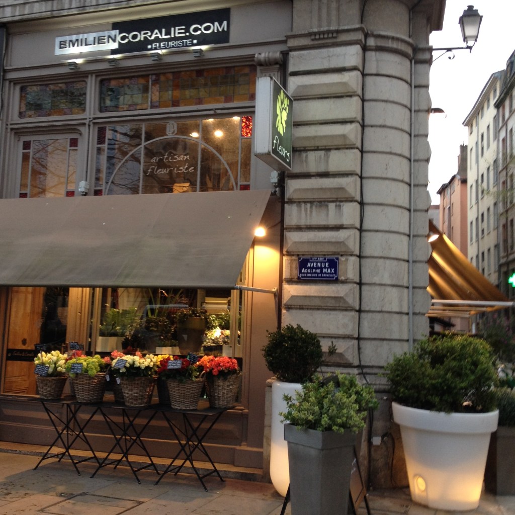 IMG_6550