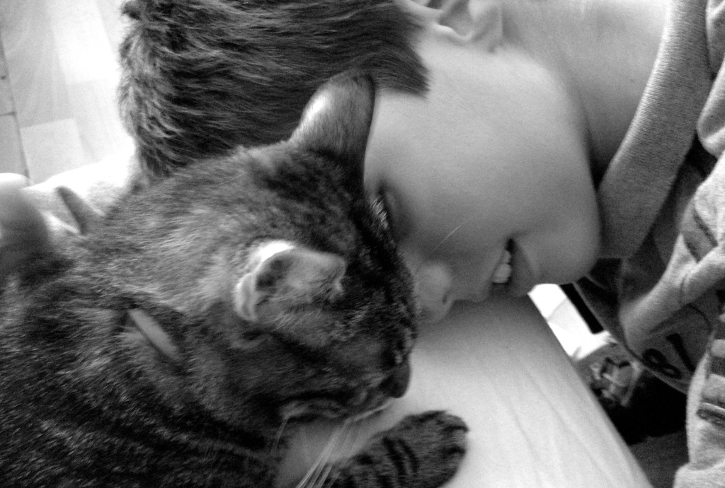 Avoir un animal