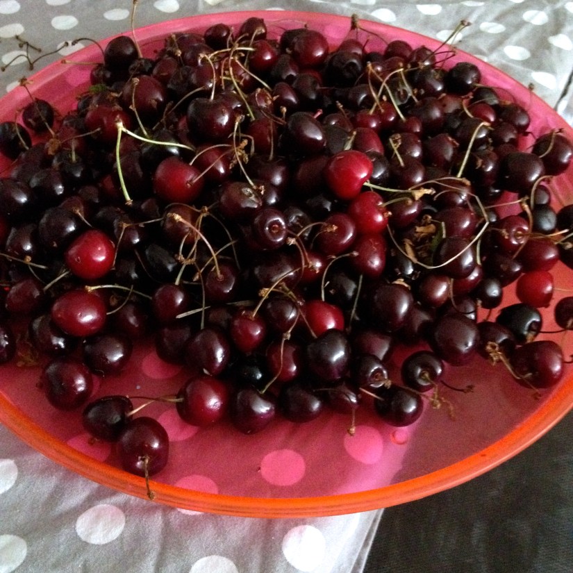 cerises