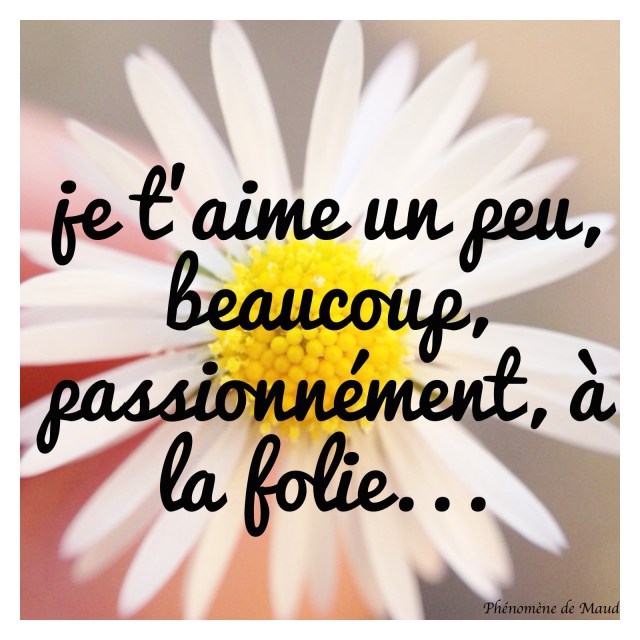 marguerite je t'aime un peu, beaucoup, passionnément....