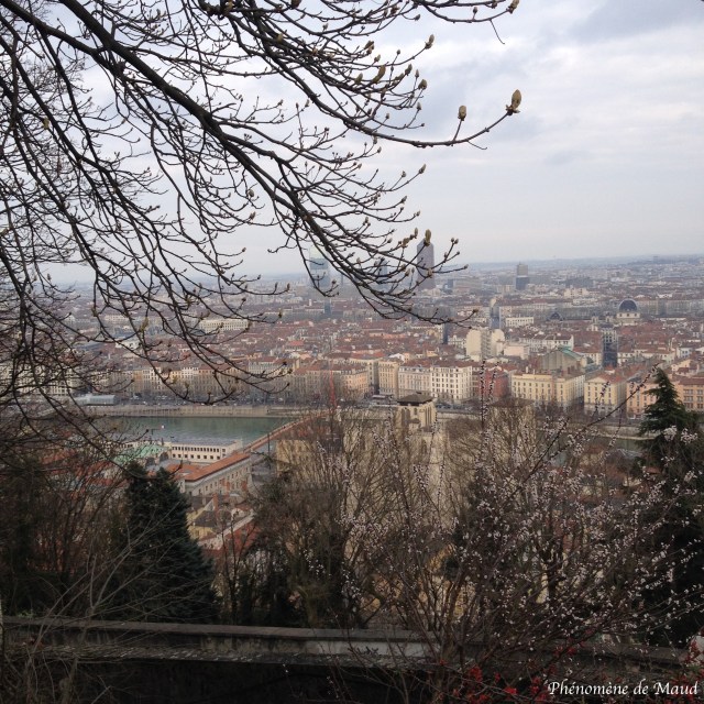 vue sur Lyon depuis fourvière