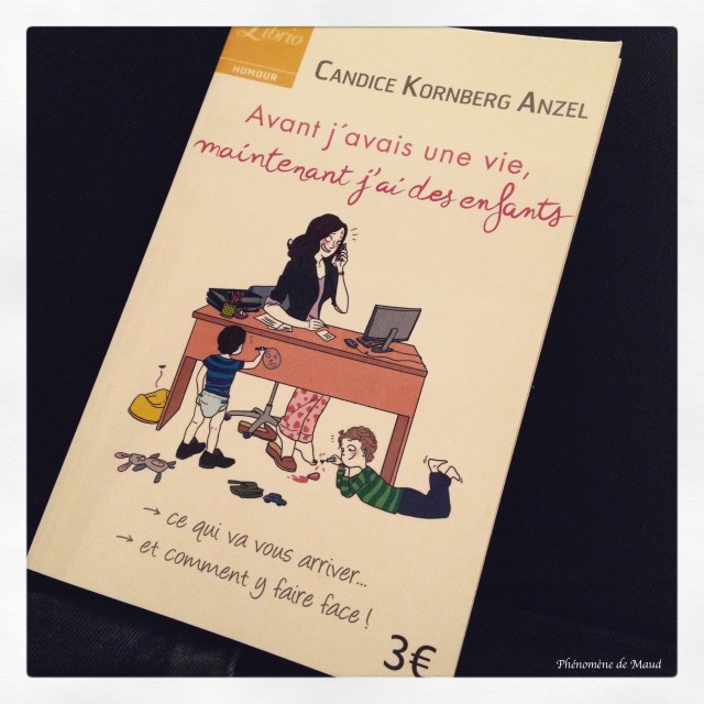 livre avant j'avais une vie, maintenant 'ai des enfants