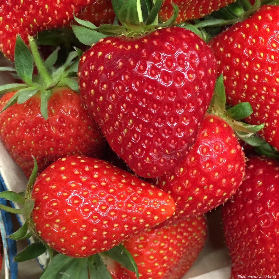 fraises.jpg