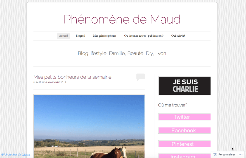 mon blog phenomene de maud.png