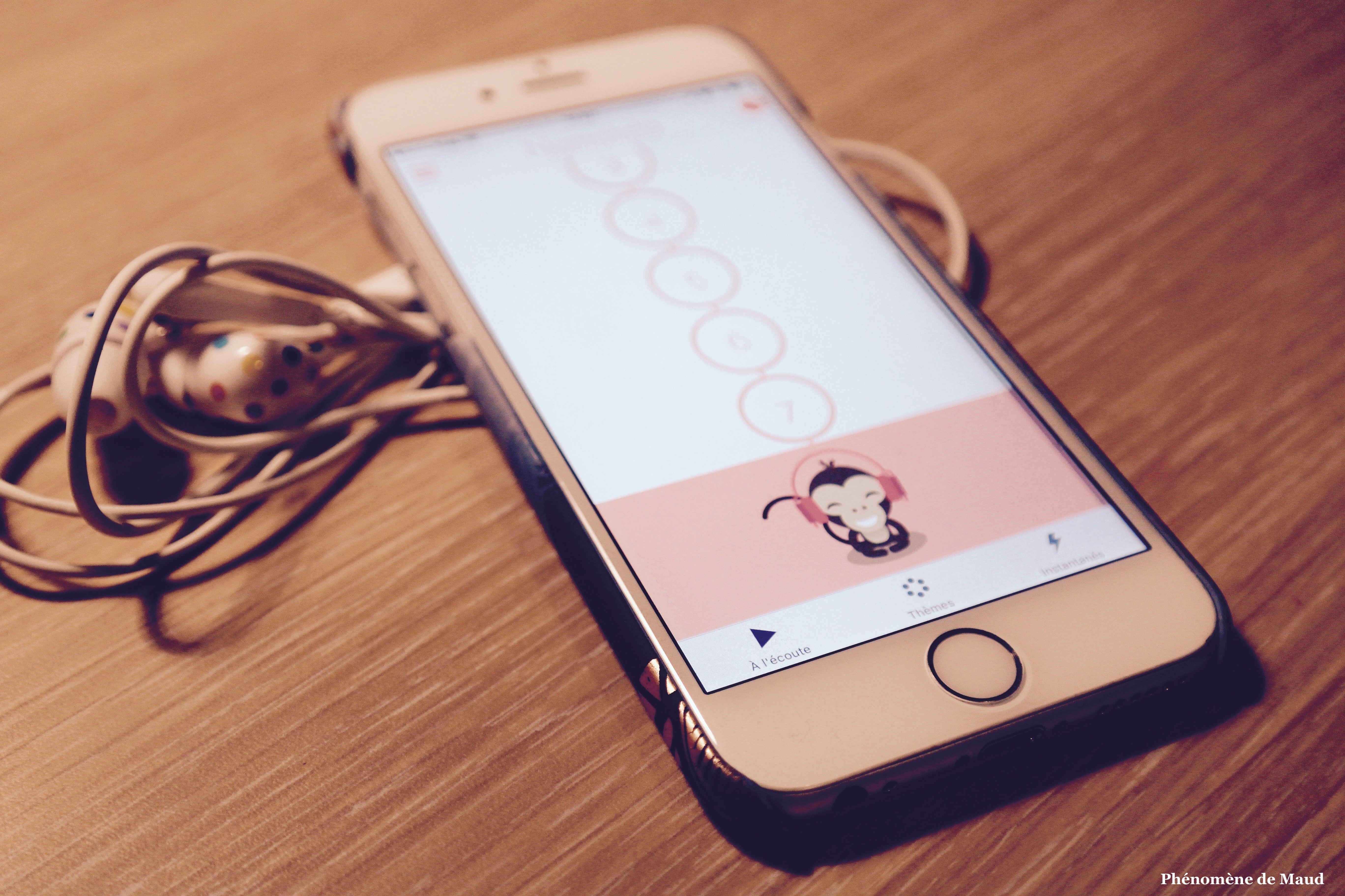 telephone iphone6.jpg