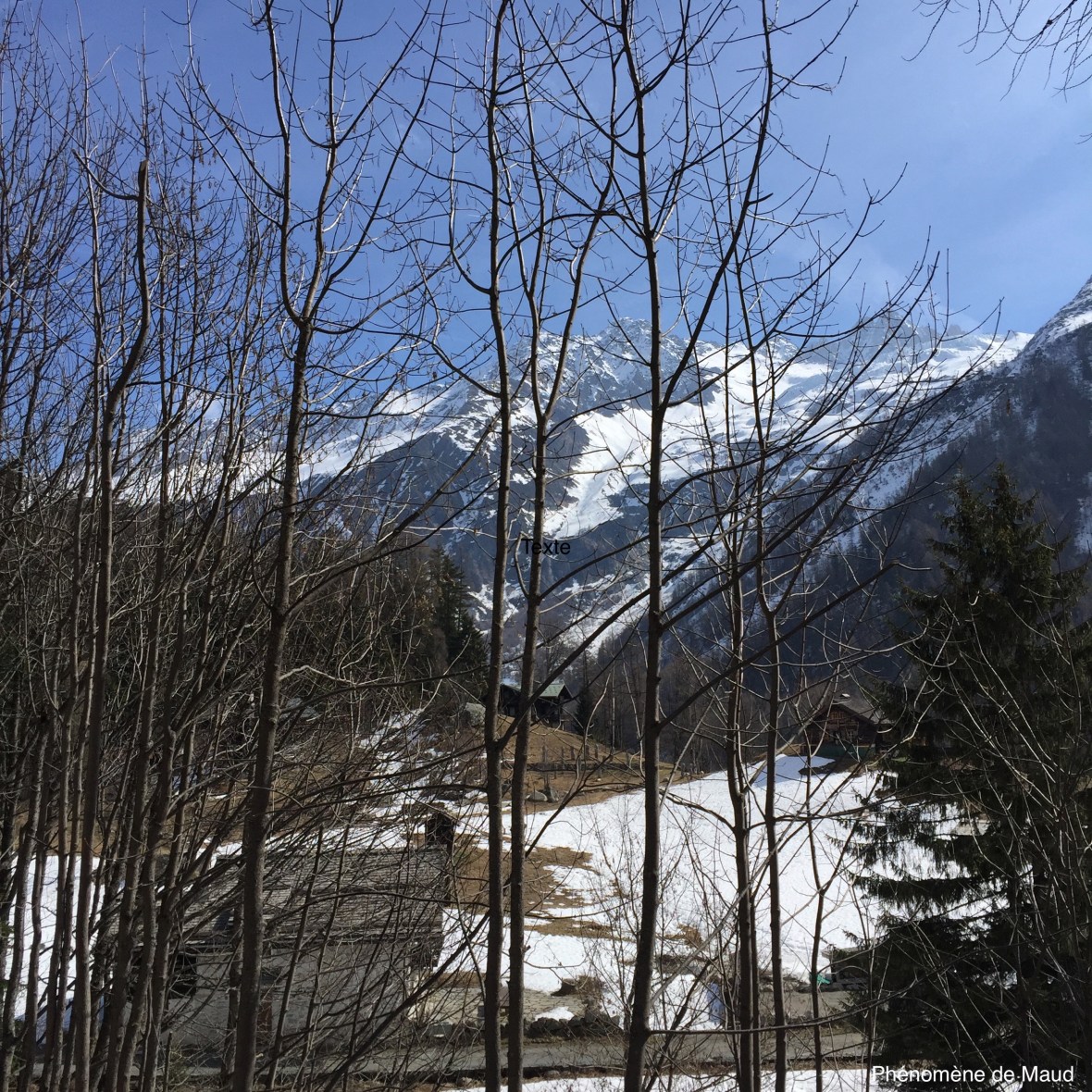 paysage montagnard