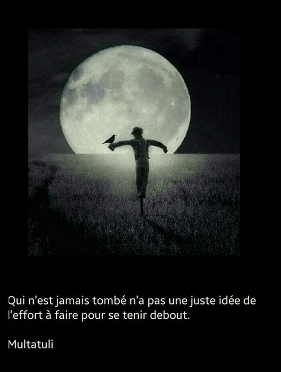 citation multatuli.jpg