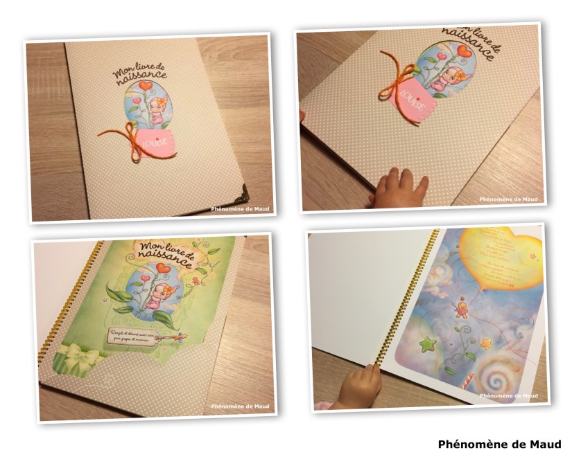 livre de naissance Louise