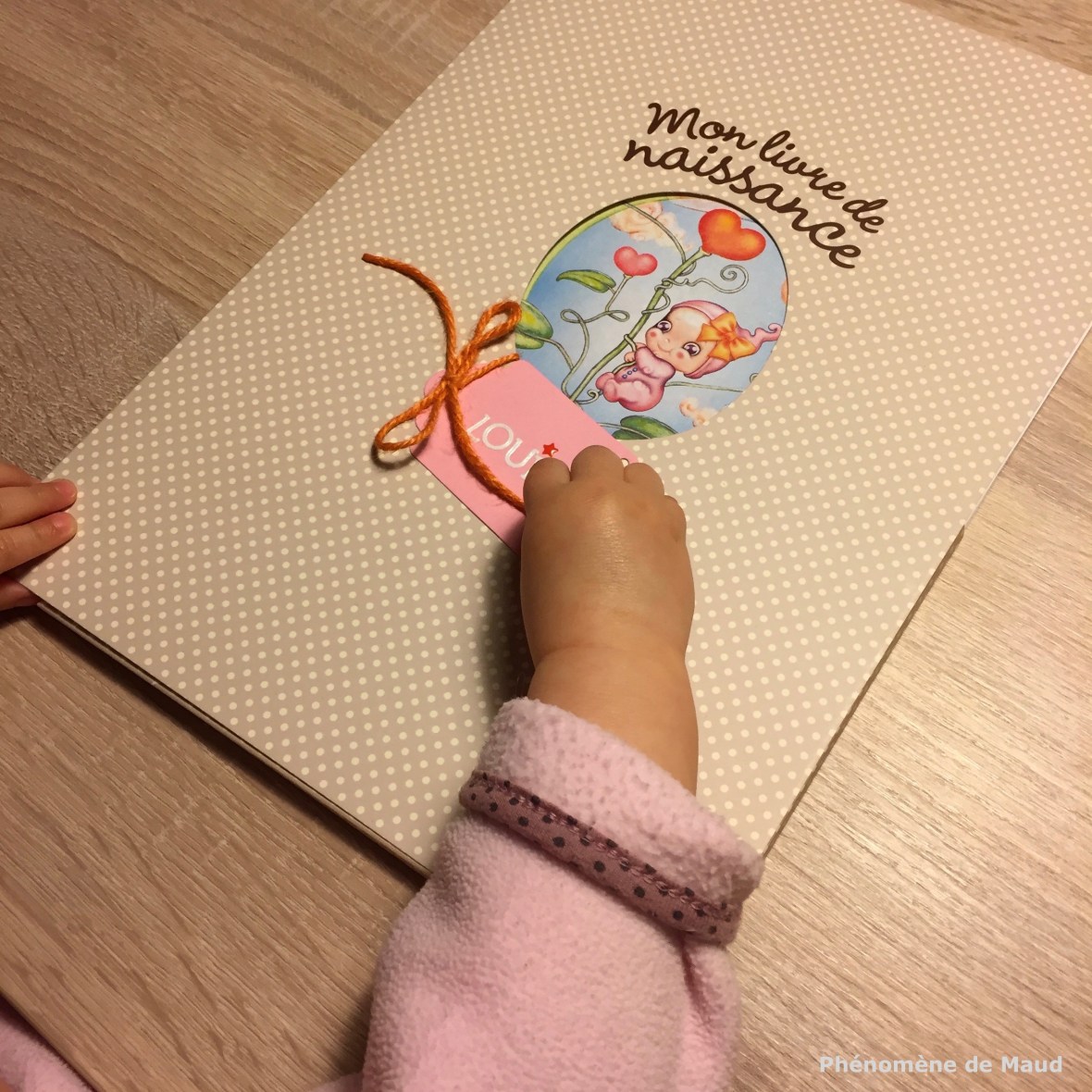 livre naissance mafamillamoi.jpg