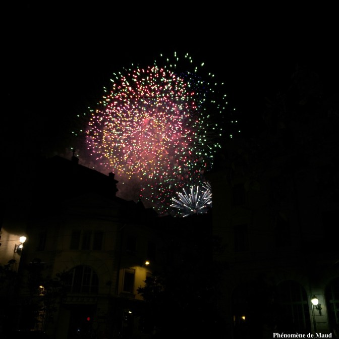feu d'artifices 14 juillet 2017
