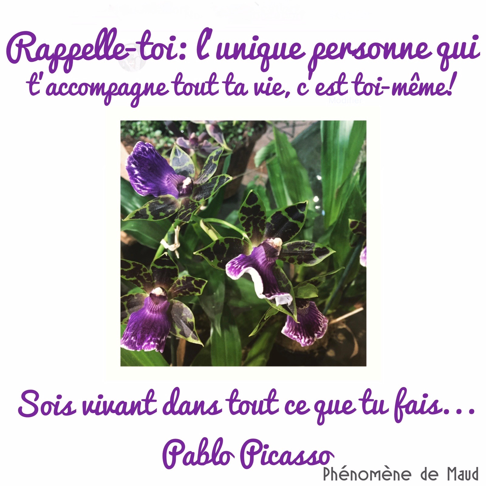 citation picasso.jpg