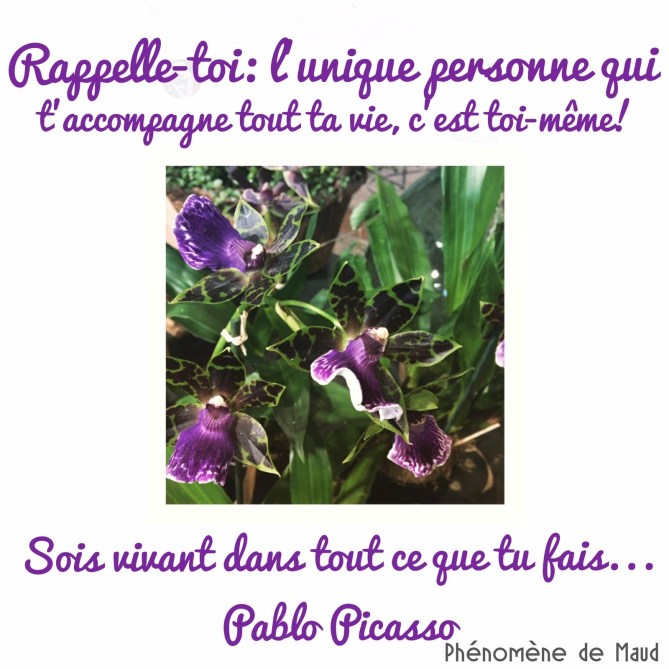 citation picasso.jpg