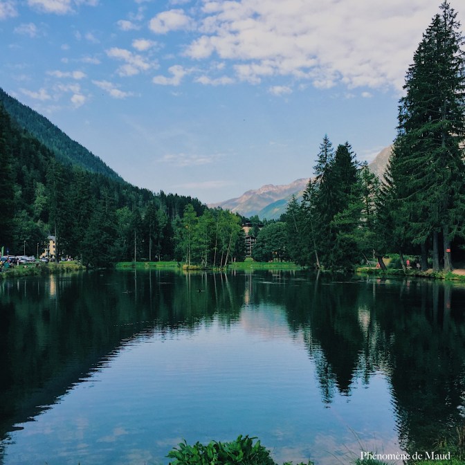 lac des gaillands.jpg