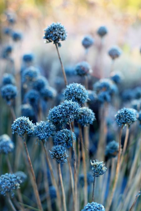 1abc25a16ba844b4c08bbe489f44f5cb