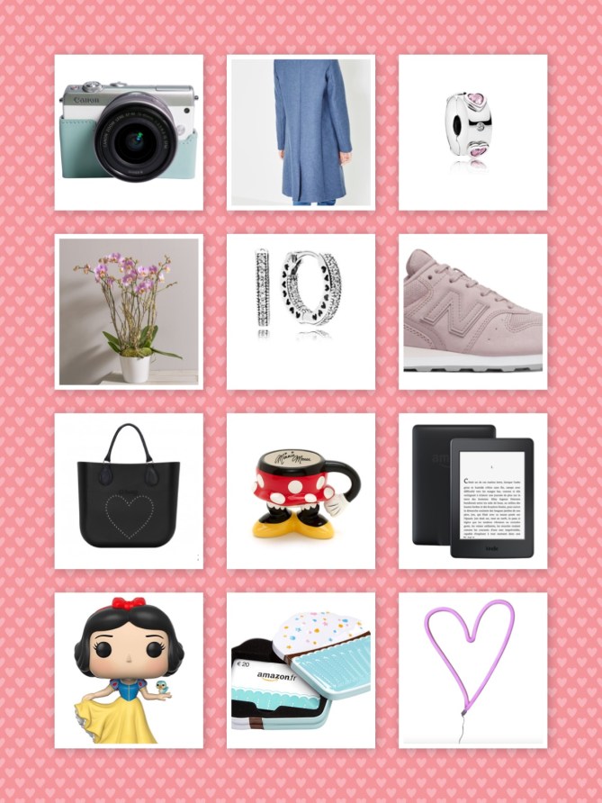 wishlist février 2018.jpg