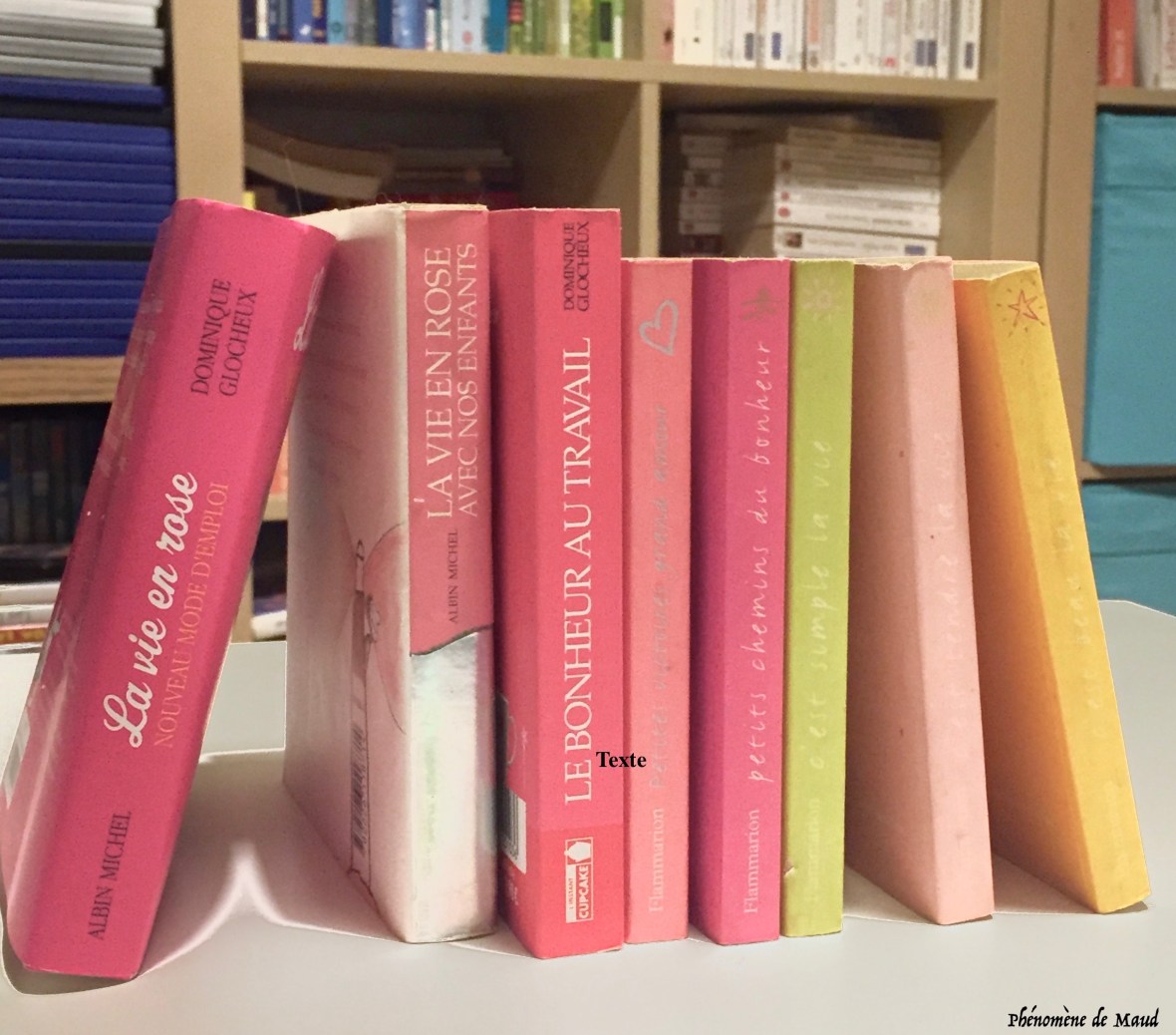 livres de dominique glocheux.jpg