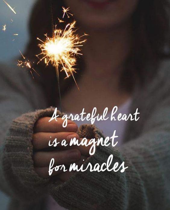 e99cafba74ddfc282be0a65a237d57df