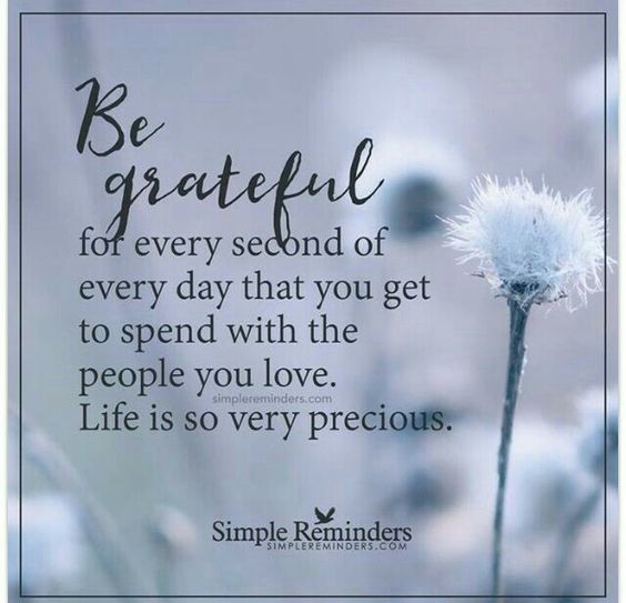 0e20e0e2a63a6896e721053c744aff75