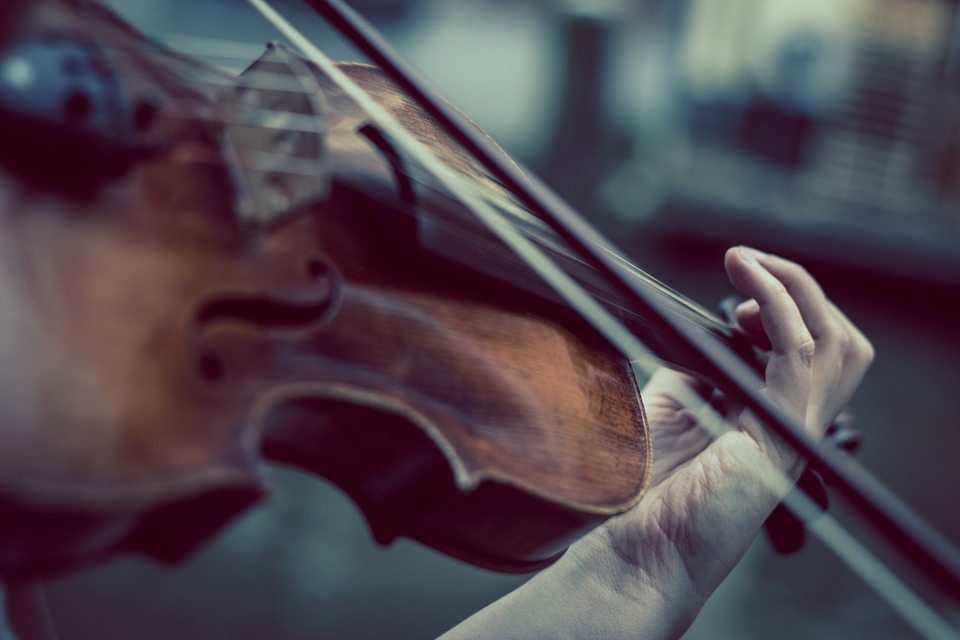 violon phenomene de maud.jpg