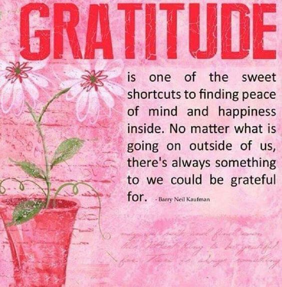 731f1bb647b23a4a7ea4732ae565b491