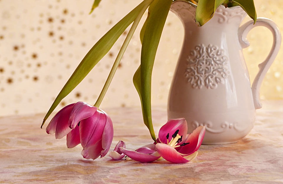still-life-3245001_960_720.jpg