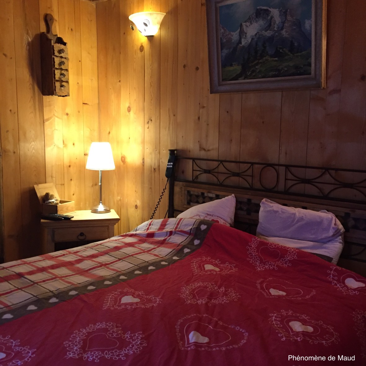 chambre d'hôtes saint pierre en faucigny phenomene de maud.jpeg