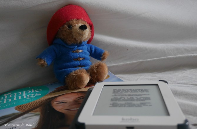 ebook ours et magazine.jpg