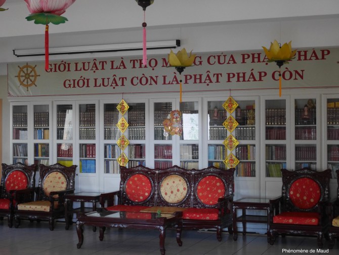 bibliotheque phenomene de maud