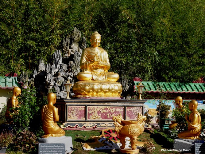 bouddha phenomene de maud