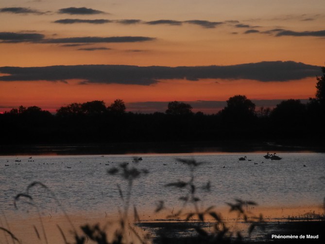 coucher de soleil.jpg