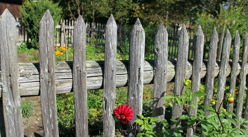 garden-fence-484708_960_720.jpg