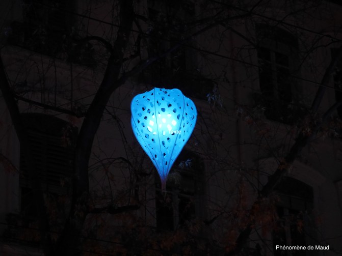 amour en cage fete des lumieres lyon 2018 maud.jpg