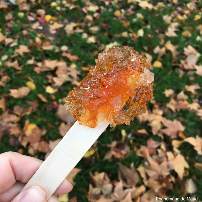 tire d'érable sur neige.jpeg