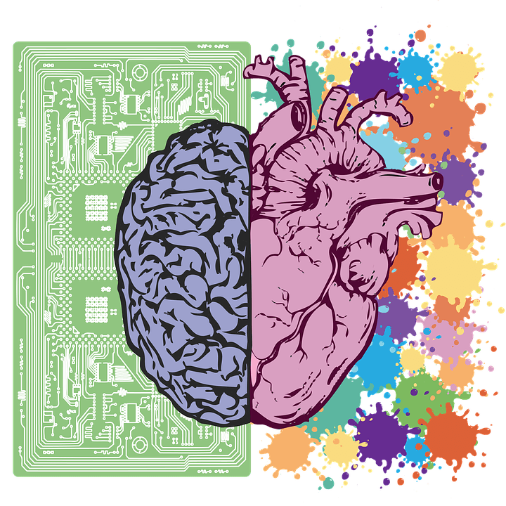 brain-3017071_960_720.png