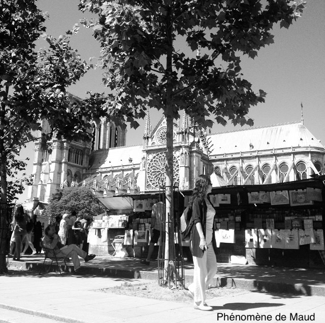 notre dame de paris.PNG