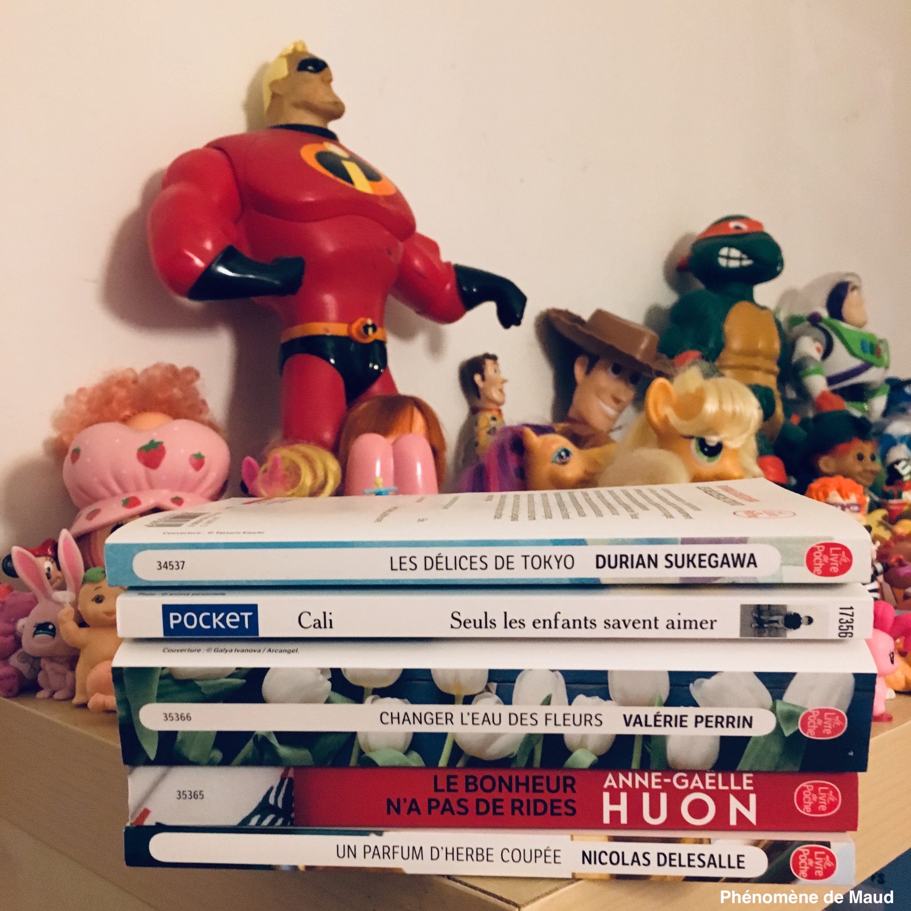 livres a lire ete 2019 phenomene de maud