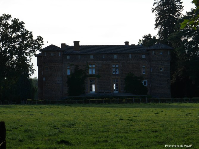 chateau phenomene de maud.jpg