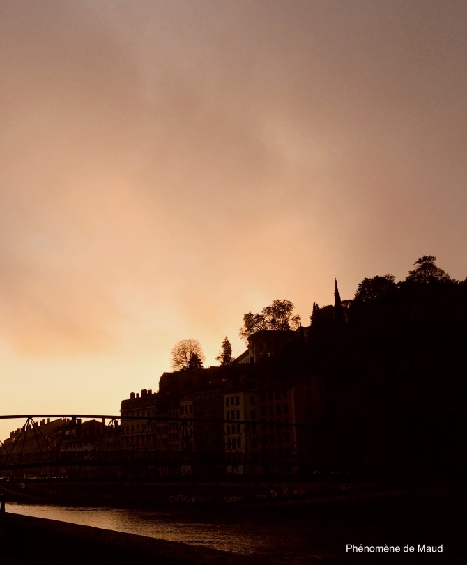 quais de saone lyon phenomene de maud.jpeg