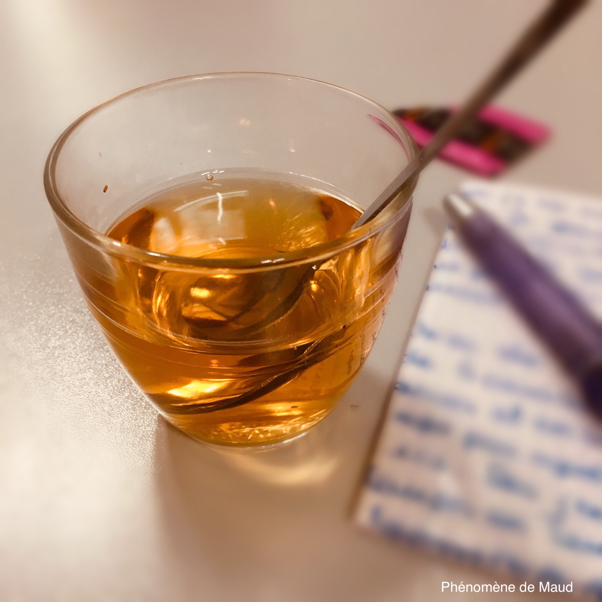 the hopital de jour phenomene de maud.JPG