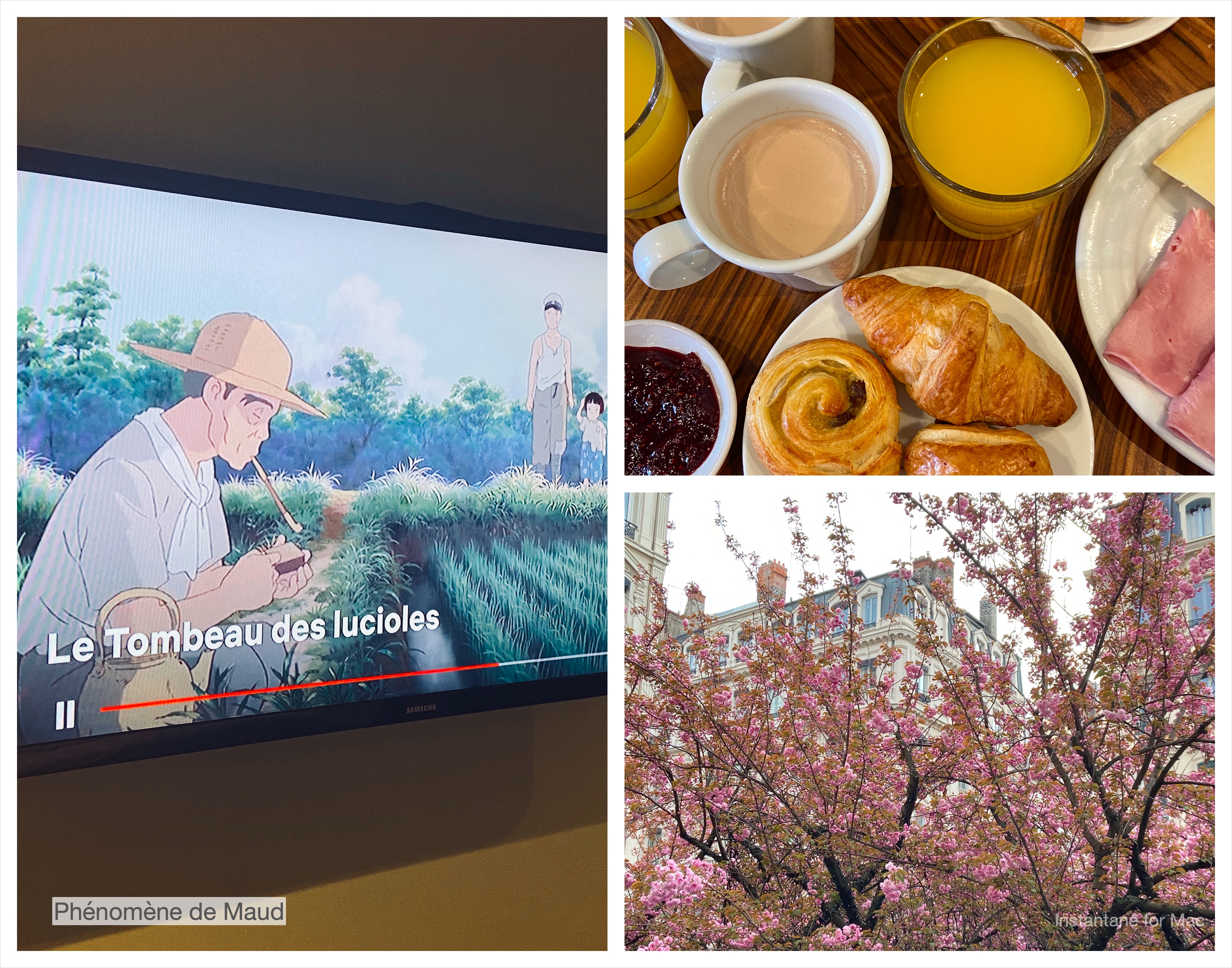 arbre en fleur, ghibli, petit déjeuner