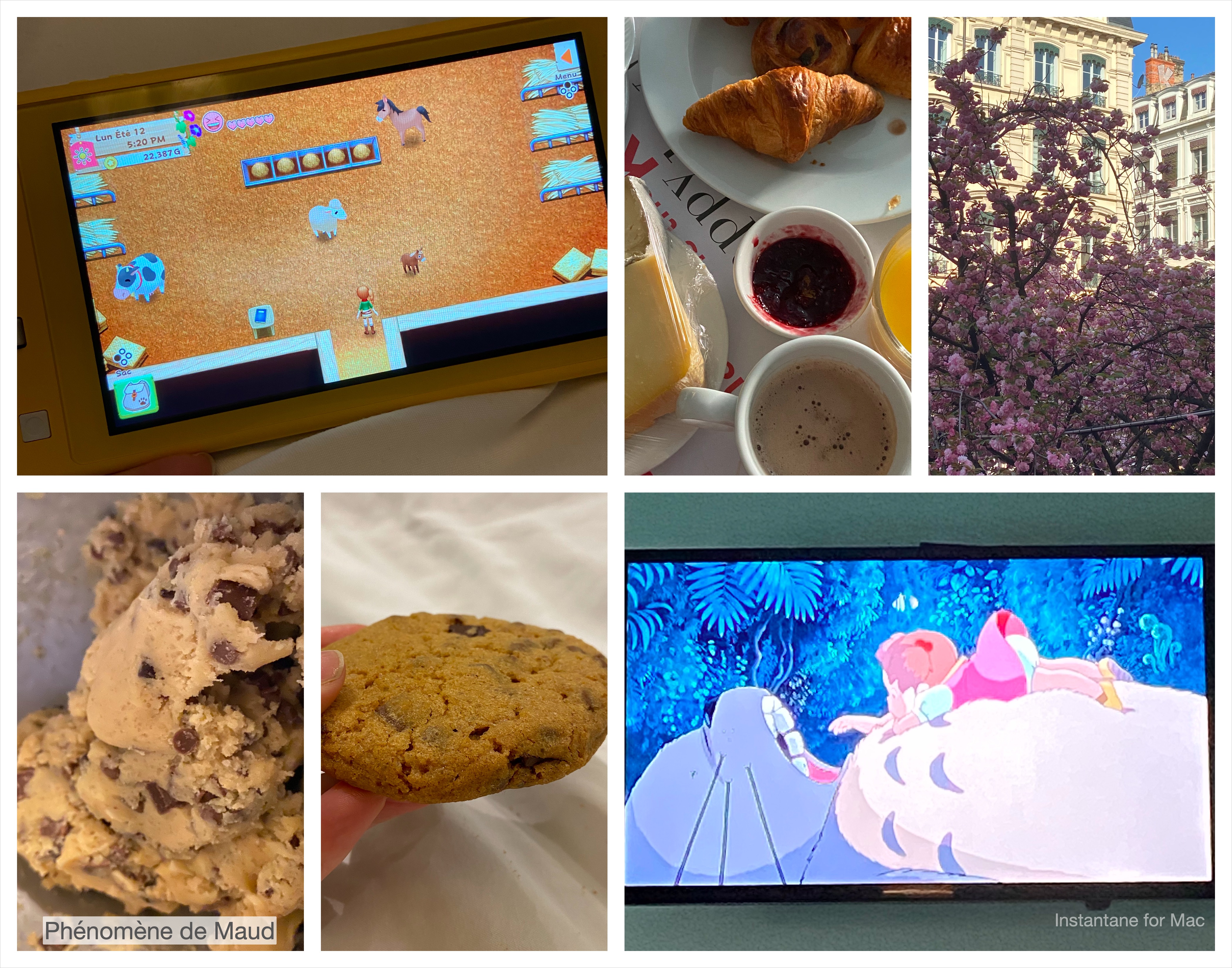 jeudi 2 avil console petit dejeuner lyon cookies studios ghibli