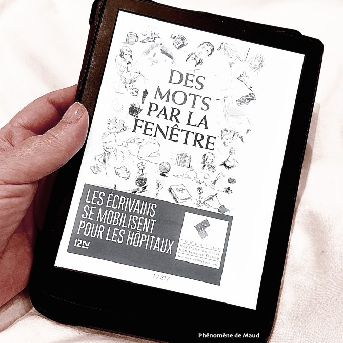 liseuse vivlio des mots pas la fenêtre