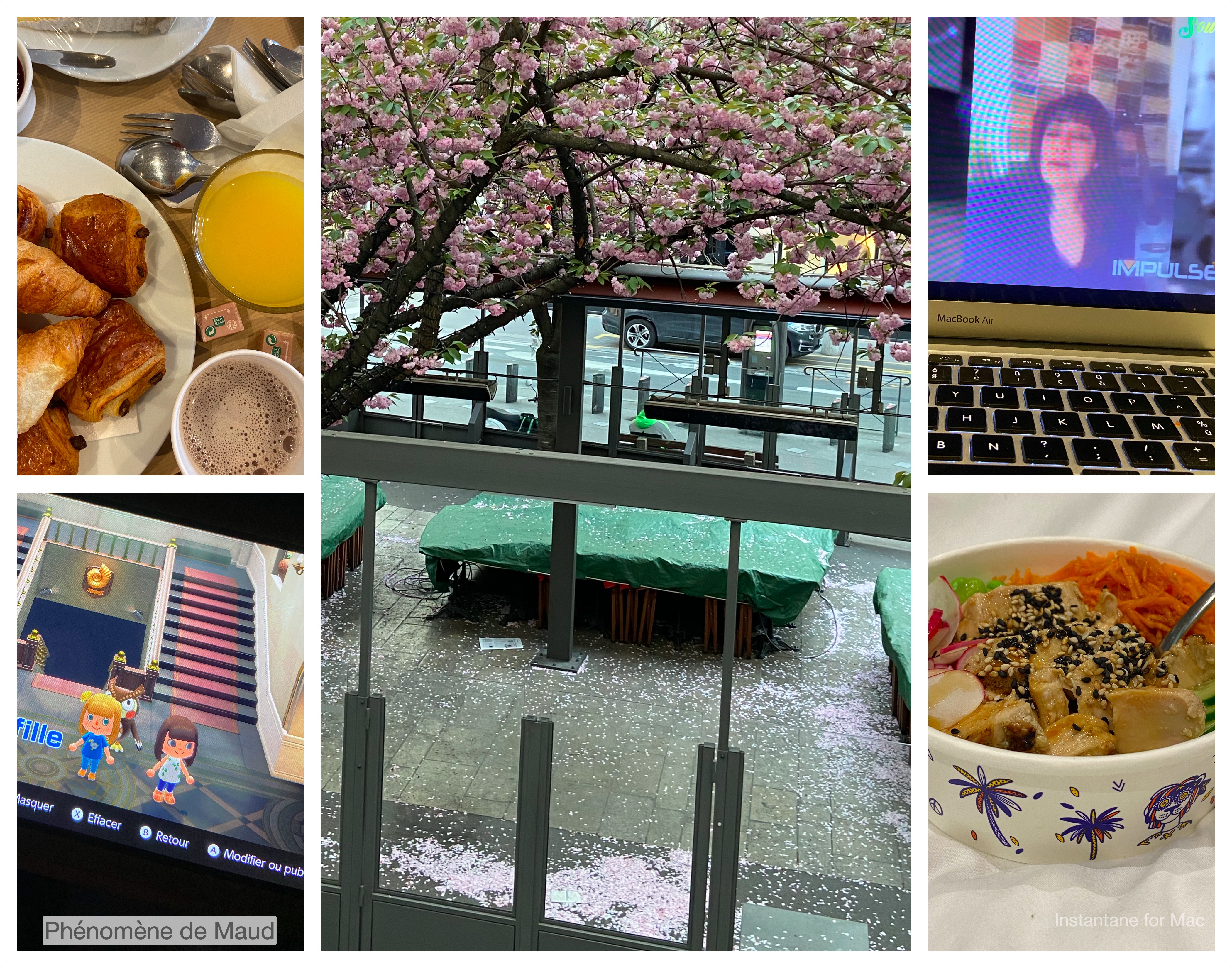 soupe en scène, petit dejeuner, animal crossing, Patsy liverpool, poke pokawa