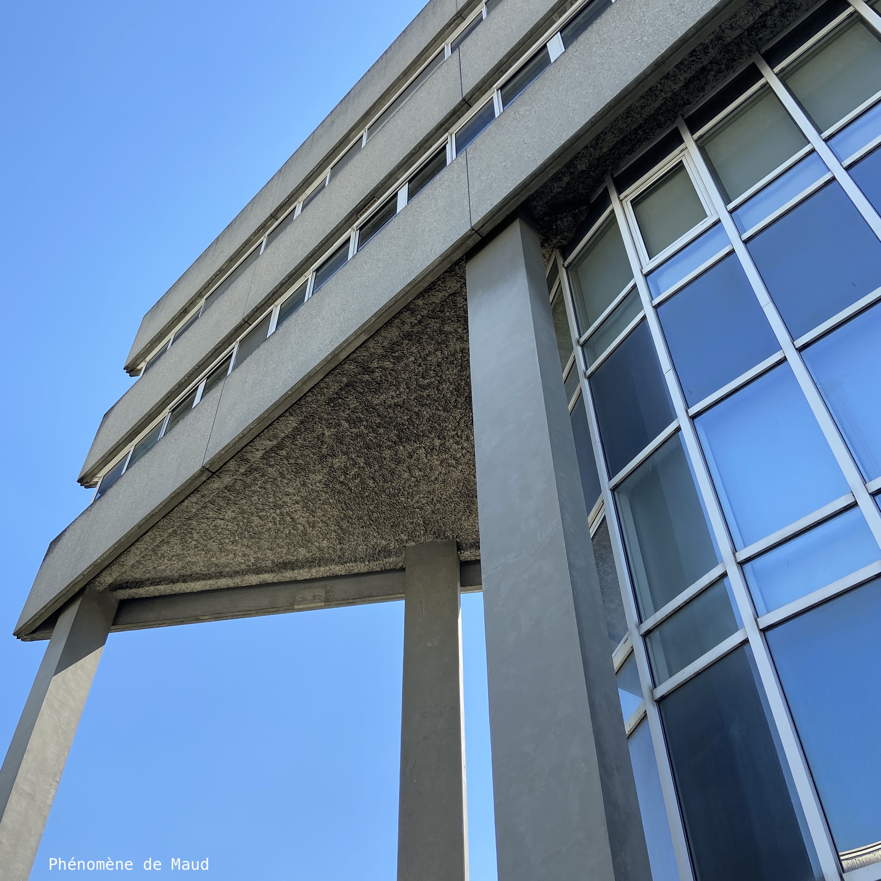 architecture bureau papa lyon sauvegarde