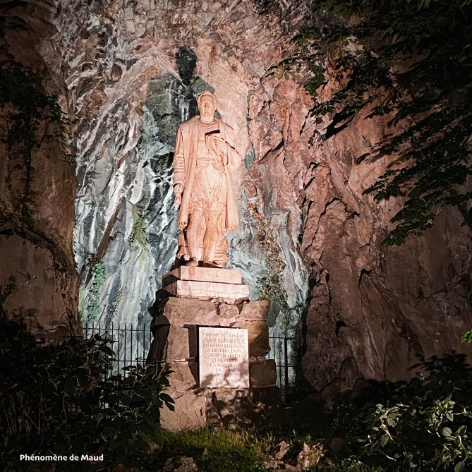 homme de la roche Lyon